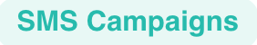 CTO_Icon-SMS_Campaigns Check This Out App SMS Campaigns