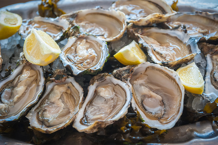 Feast Bozeman Oysters